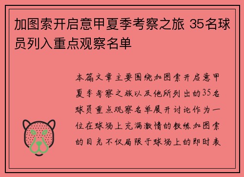 加图索开启意甲夏季考察之旅 35名球员列入重点观察名单