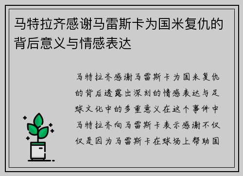 马特拉齐感谢马雷斯卡为国米复仇的背后意义与情感表达