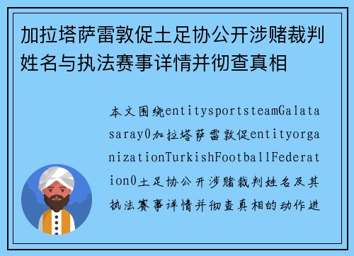 加拉塔萨雷敦促土足协公开涉赌裁判姓名与执法赛事详情并彻查真相